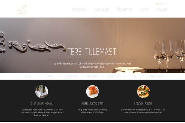 Sparkling theme site design template sample