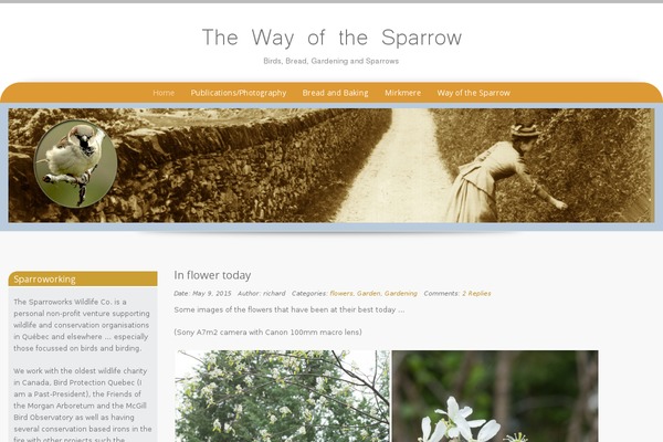 sparroworks.ca site used Preference