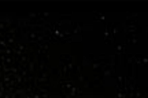 907 (NineZeroSeven) theme site design template sample