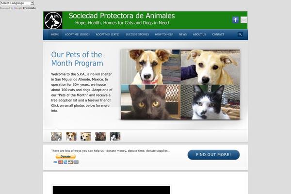 Dejavu theme site design template sample