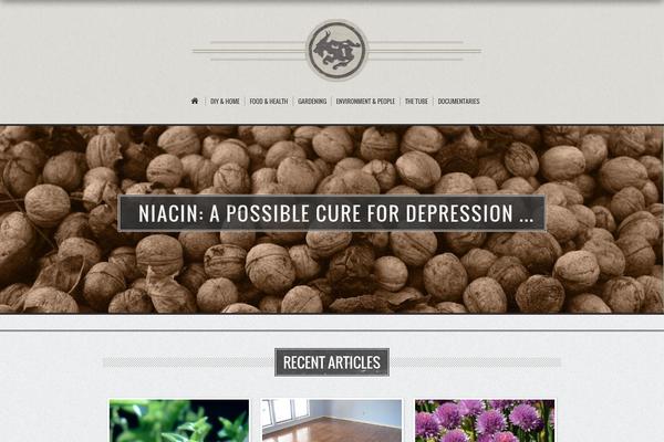 Hanna theme site design template sample