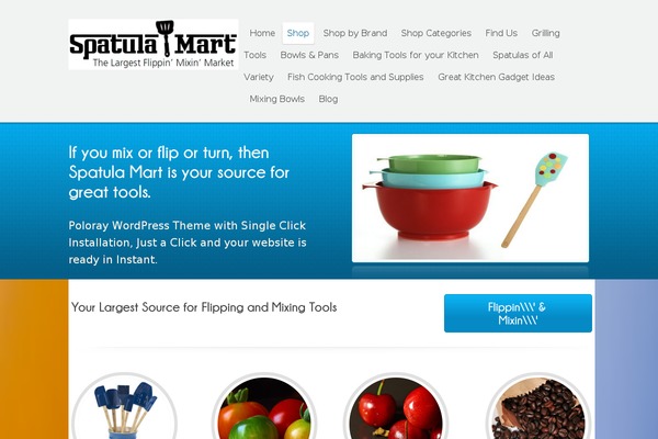 Poloray theme site design template sample