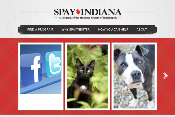 Theme1433 theme site design template sample