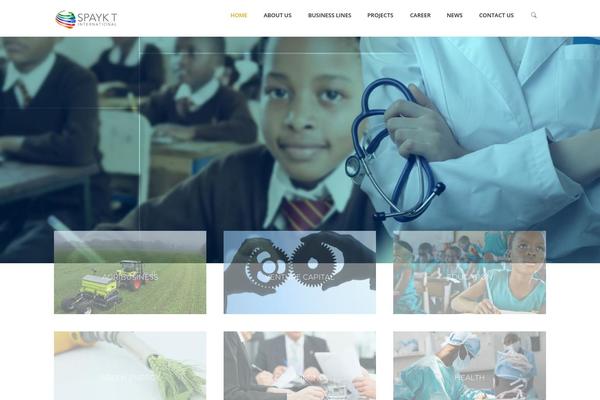 Billio theme site design template sample
