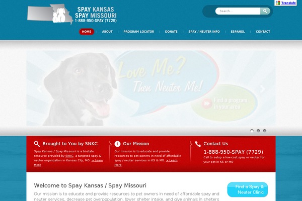 Lunar theme site design template sample