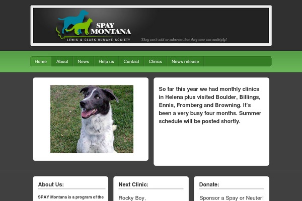 Pet-rescue theme site design template sample