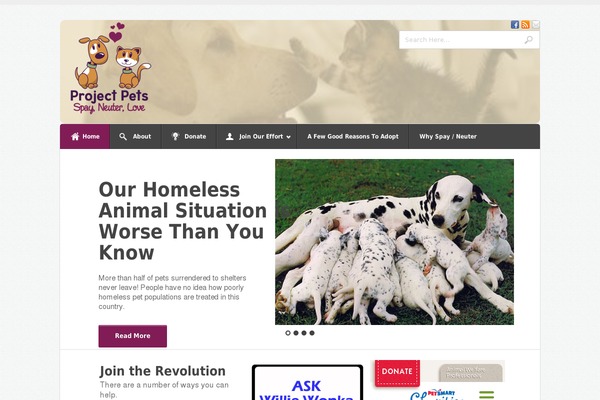 Shaka theme site design template sample
