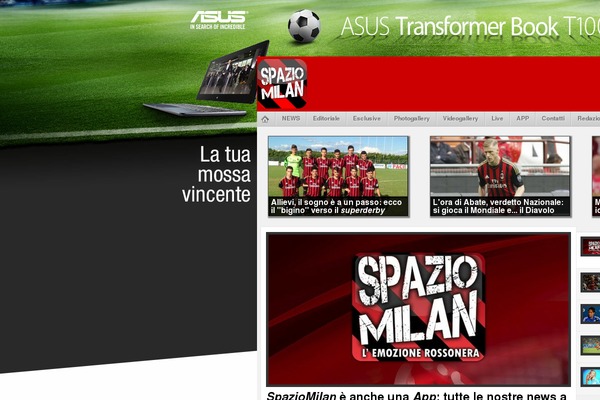 Site using Rubik-football-player-cpt plugin