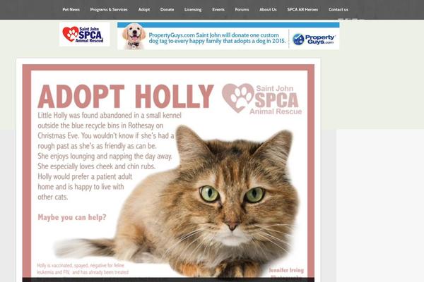 Advocate theme site design template sample