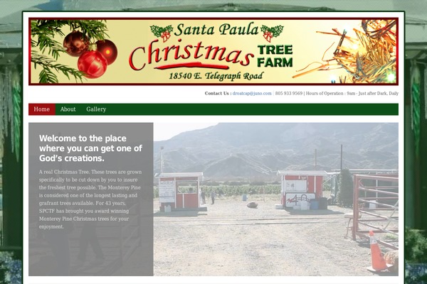 Wp Radiance 1.0.3 theme site design template sample