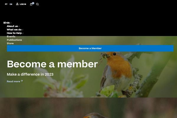 Site using Simple-social-shout-for-givewp plugin
