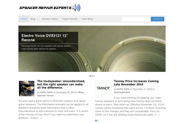 Site using Google Custom Search plugin
