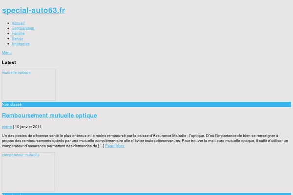 Point theme site design template sample