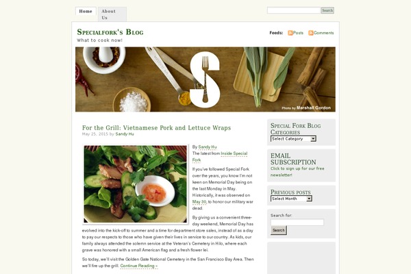 Misty Look theme site design template sample