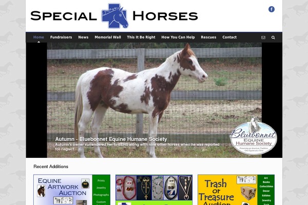 specialhorses.org site used Pinpoint