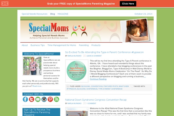 Affinger5-jet-child theme site design template sample