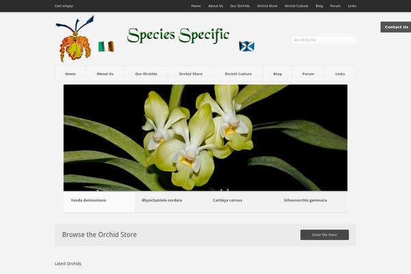 Pitch theme site design template sample