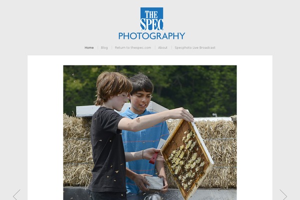 Organic_photographer theme site design template sample