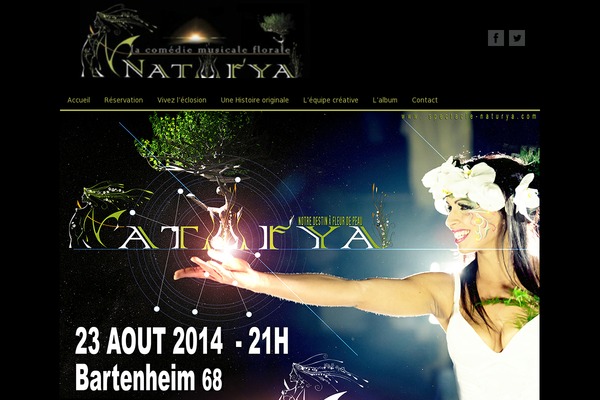 Central theme site design template sample