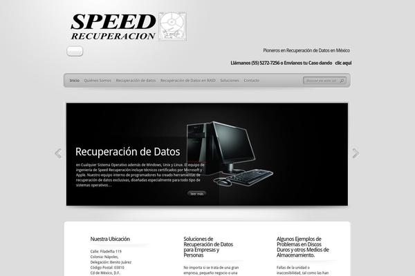 TheProfessional theme site design template sample