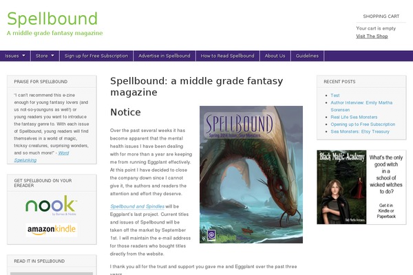 Magazine Basic theme site design template sample