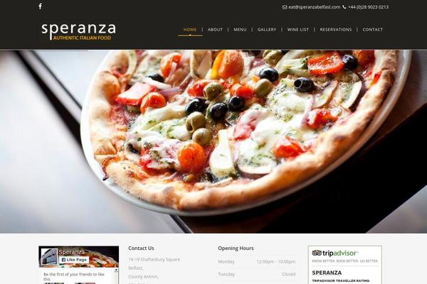 NUVO theme site design template sample