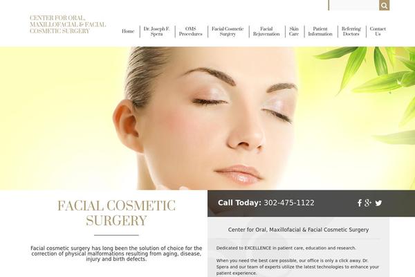 2108-template theme websites examples