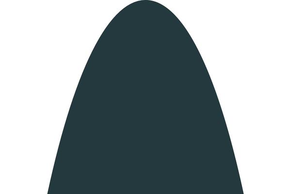 Site using WP Video Lightbox plugin