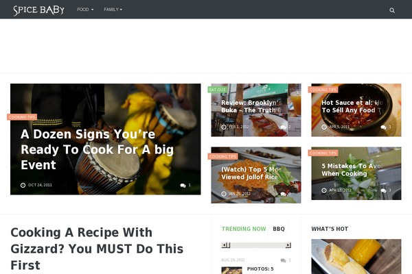 goodnews-child theme websites examples