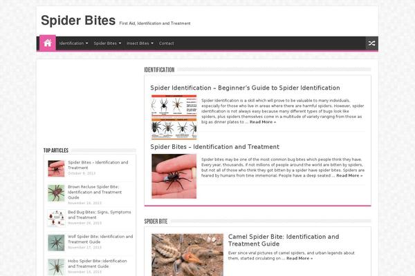Sahifa theme site design template sample