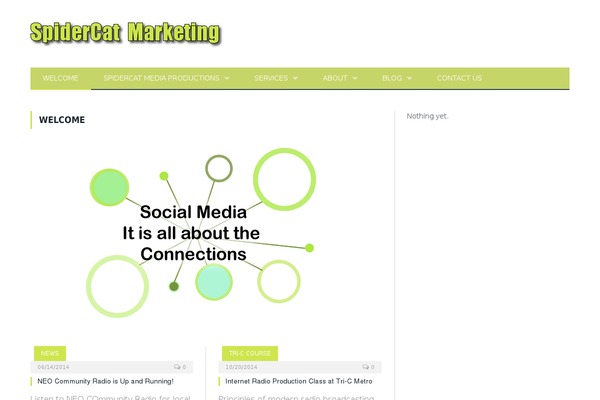 spidercatmarketing.com site used Zinco