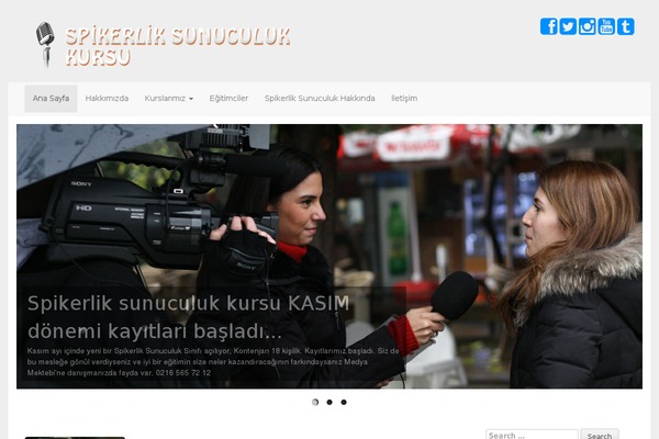 Blain theme site design template sample