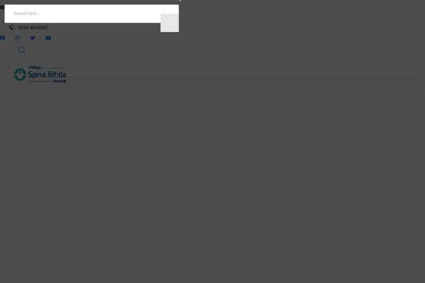 Site using Custom-twitter-feeds plugin
