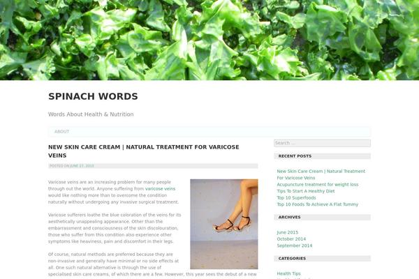 Araiz theme site design template sample