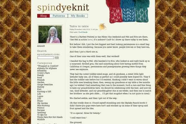 spindyeknit.com site used Conservative
