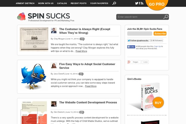 spin-sucks theme websites examples