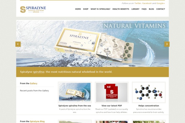 Studeo theme site design template sample