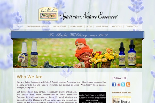 Site using Dreamgrow Scroll Triggered Box plugin