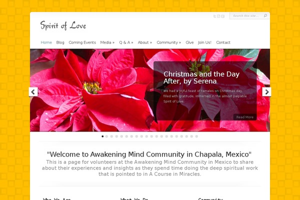 Site using Wp-cloudflare-page-cache plugin