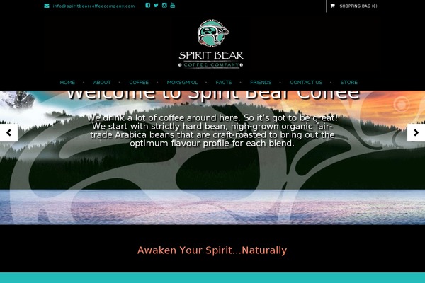 Store theme site design template sample