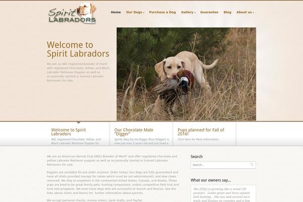 Biznizz theme site design template sample