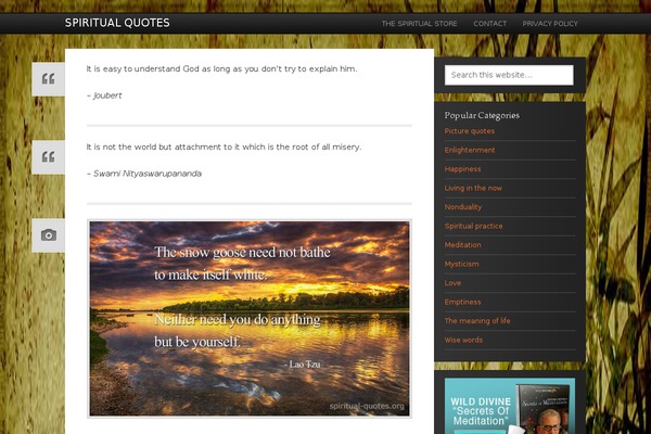 Mindstream theme site design template sample