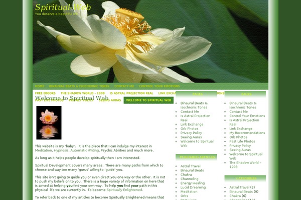 Site using Google 'Plus one' Button by kms plugin