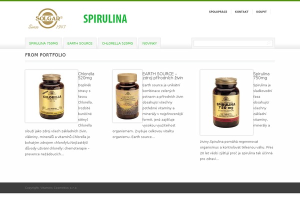 Bonanza theme site design template sample