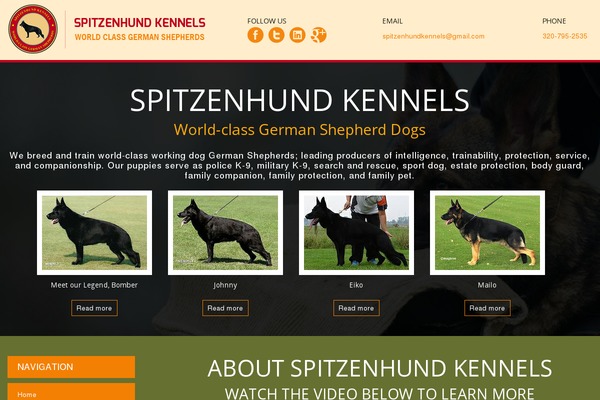 Themealley Business theme site design template sample