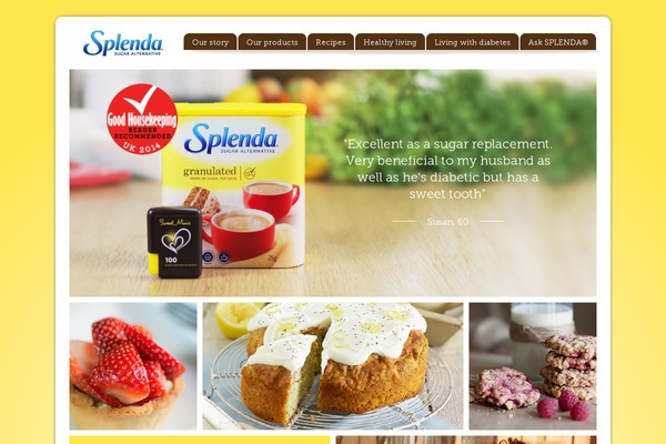 Zephyr-child theme site design template sample