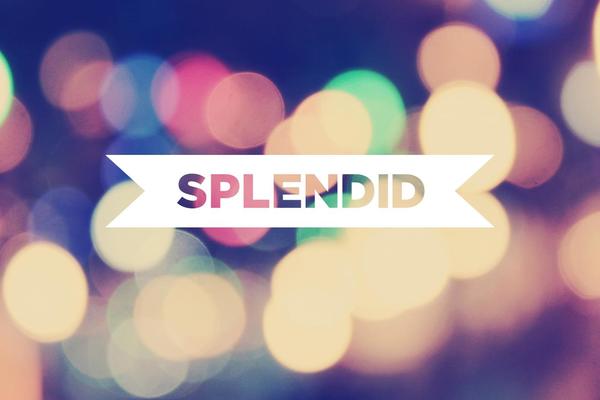 Splendid theme site design template sample