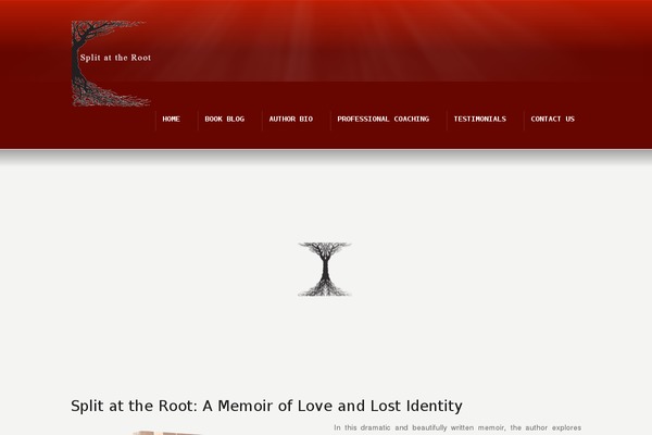 Site using HTML5 jQuery Audio Player plugin