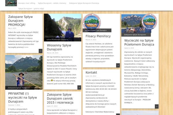 Pinbin theme site design template sample