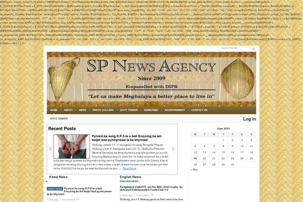 Site using WordPress Hit Counter plugin